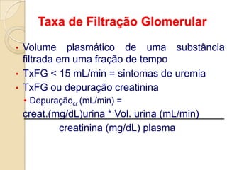 SISTEMA EXCRETOR1 a 1,5 milhões de néfrons