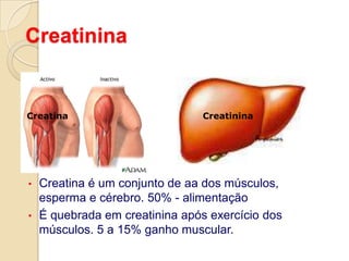 Glomérulo e Túbulo RenalAlbuminaTúbulos: Proteínas   peso molecular
