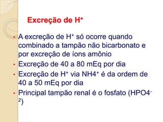 É livremente filtrada, não sofre reabsorção