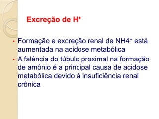 15 a 25% secretada pelos túbulos proximaisTx Filtração GlomerularDiferentes SubstratosCreatinina:Período de 24h, excreção urinária de 15 a 20 mg/kg para as mulheres e 20 a 25 mg/kg para os homens
