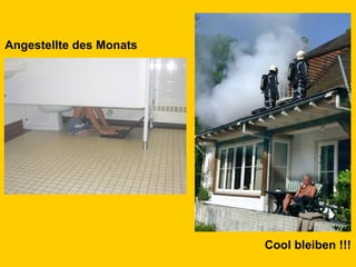 Angestellte des Monats Cool bleiben !!!