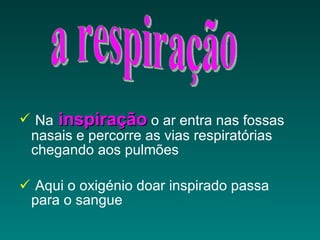 Na  inspiração  o ar entra nas fossas nasais e percorre as vias respiratórias chegando aos pulmões Aqui o oxigénio doar inspirado passa para o sangue a respiração 