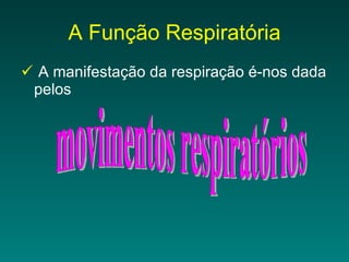 A Função Respiratória A manifestação da respiração é-nos dada pelos movimentos respiratórios 