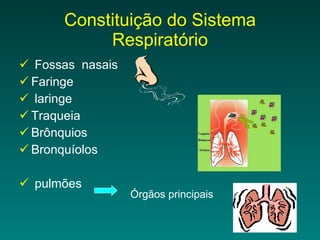 Constituição do Sistema Respiratório Fossas  nasais Faringe laringe Traqueia Brônquios Bronquíolos pulmões  Órgãos principais 