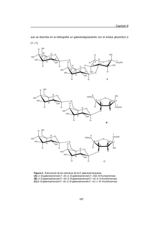Capítulo 8
167
que se describe en la bibliografía un galactooligosacárido con el enlace glicosídico E
(1ĺ1).
O
H
HO
H
HO
H
H
OHH
O
OH
O
H
HO
H
HO
H
H
OHH
O
O
HO
CH2OH
H
OH
H
OH
H
H
H
O
H
HO
H
HO
H
H
OHH
O
OH
O
H
HO
H
HO
H
H
OHH
CH2OH
OH
H
O H
H OH
O
HOH2C
O
H
HO
H
HO
H
H
OHH
O
OH
O
H
HO
H
HO
H
H
OHH
OH
CH2OH
H
O H
H OH
O
HOH2C
A
B
C
3
4
5
1
26
1'2'
3'
4' 5'
6'
1''2''
3''
4'' 5''
6''
1
2
34
5
6
1
2
34
5
6
Figura 2.- Estructuras de los isómeros de la 6’ galactosil lactulosa:
(A): ED-galactopiranosil-(1o6)ED-galactopiranosil-(1o4)ҟED-fructopiranosa;
(B): ED-galactopiranosil-(1o6)ED-galactopiranosil-(1o4)ED-fructofuranosa;
(C):ED-galactopiranosil-(1o6)ED-galactopiranosil-(1o4)DD- fructofuranosa.
 