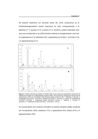 Capítulo 8
171
del posterior tratamiento con aluminato sódico (B). Como consecuencia de la
hidrólisis/transglicosilación pueden observarse los picos correspondientes a la
galactosa (nº 1), glucosa (nº 2), y lactosa (nº 5). Asimismo, pueden observarse otros
picos que corresponden a los GOS formados mediante la transglicosilación como son
la 6 galactobiosa (nº 3); alolactosa (nº4); 4 galactobiosa (ED-Gal-(1ĺ4)-D-Gal) (nº 6)
y 6’ galactosil-lactosa (nº 7).
Figura 5.- Perfiles obtenidos del análisis por HPAEC-PAD de una mezcla de carbohidratos resultante de la
hidrólisis de la lactosa con E-galactosidasa (Lactozym 3000 L HP G) antes (A) y después de nueve horas de
isomerización a 40ºC con una relación molar aluminato sódico/ lactosa 3:1 (B). 1: Galactosa, 2: Glucosa, 3:
6 Galactobiosa (E-D-Gal-(1ĺ6)-D-Gal), 4: Alolactosa (E-D-Gal-(1ĺ6)-D-Glc), 5: Lactosa, 6: 4 Galactobiosa
(E-D-Gal-(1ĺ4)-D-Gal), 7: 6’-galactosil lactosa (E-D-Gal-(1ĺ6)-Lac), 1’: Tagatosa, 2’: Fructosa, 5’:
Lactulosa y 7’: 6’-galactosil lactulosa (E-D-Gal-(1ĺ6)-D-Gal-(1ĺ4)-Fru).
En el punto óptimo de la reacción enzimática el producto resultante estaba constituido
por monosacáridos (35%), alolactosa (11%), 6 galactobiosa (5%), lactosa (31%) y 6’
galactosil lactosa (16%).
0.0 10.0 20.0 30.0 40.0 50.0 60.0 75.0
0
20
40
60
80
100
125
nC
min
0.0 10.0 20.0 30.0 40.0 50.0 60.0 75.0
0
20
40
60
80
100
125
nC
min
1
2
1’
2’
3 4
5
5’
7
7’
B
3
4
5
6
7
A1 2
 
