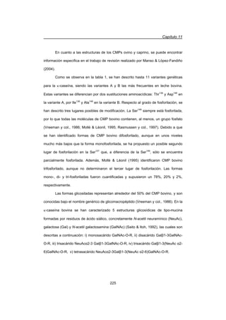 Capítulo 11
225
En cuanto a las estructuras de los CMPs ovino y caprino, se puede encontrar
información específica en el trabajo de revisión realizado por Manso  López-Fandiño
(2004).
Como se observa en la tabla 1, se han descrito hasta 11 variantes genéticas
para la N-caseína, siendo las variantes A y B las más frecuentes en leche bovina.
Estas variantes se diferencian por dos sustituciones aminoacídicas: Thr136
y Asp148
en
la variante A, por Ile136
y Ala148
en la variante B. Respecto al grado de fosforilación, se
han descrito tres lugares posibles de modificación. La Ser149
siempre está fosforilada,
por lo que todas las moléculas de CMP bovino contienen, al menos, un grupo fosfato
(Vreeman y col., 1986; Mollé  Léonil, 1995; Rasmussen y col., 1997). Debido a que
se han identificado formas de CMP bovino difosforilado, aunque en unos niveles
mucho más bajos que la forma monofosforilada, se ha propuesto un posible segundo
lugar de fosforilación en la Ser127
que, a diferencia de la Ser149
, sólo se encuentra
parcialmente fosforilada. Además, Mollé  Léonil (1995) identificaron CMP bovino
trifosforilado, aunque no determinaron el tercer lugar de fosforilación. Las formas
mono-, di- y tri-fosforiladas fueron cuantificadas y supusieron un 78%, 20% y 2%,
respectivamente.
Las formas glicosiladas representan alrededor del 50% del CMP bovino, y son
conocidas bajo el nombre genérico de glicomacropéptido (Vreeman y col., 1986). En la
N-caseína bovina se han caracterizado 5 estructuras glicosídicas de tipo-mucina
formadas por residuos de ácido siálico, concretamente N-acetil neuramínico (NeuAc),
galactosa (Gal) y N-acetil galactosamina (GalNAc) (Saito  Itoh, 1992), las cuales son
descritas a continuación: i) monosacárido GalNAc-O-R, ii) disacárido Galȕ1-3GalNAc-
O-R, iii) trisacárido NeuAcĮ2-3 Galȕ1-3GalNAc-O-R, iv) trisacárido Galȕ1-3(NeuAc Į2-
6)GalNAc-O-R, v) tetrasacárido NeuAcĮ2-3Galȕ1-3(NeuAc Į2-6)GalNAc-O-R.
 