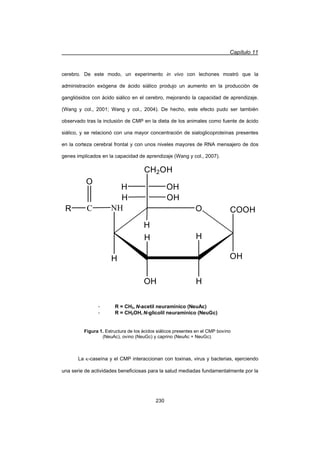 Capítulo 11
230
cerebro. De este modo, un experimento in vivo con lechones mostró que la
administración exógena de ácido siálico produjo un aumento en la producción de
gangliósidos con ácido siálico en el cerebro, mejorando la capacidad de aprendizaje.
(Wang y col., 2001; Wang y col., 2004). De hecho, este efecto pudo ser también
observado tras la inclusión de CMP en la dieta de los animales como fuente de ácido
siálico, y se relacionó con una mayor concentración de sialoglicoproteínas presentes
en la corteza cerebral frontal y con unos niveles mayores de RNA mensajero de dos
genes implicados en la capacidad de aprendizaje (Wang y col., 2007).
La N-caseína y el CMP interaccionan con toxinas, virus y bacterias, ejerciendo
una serie de actividades beneficiosas para la salud mediadas fundamentalmente por la
O
H
COOH
OH
H
HOH
H
H
NHCR
O
CH2OH
OH
OH
H
H
- R = CH3, N-acetil neuramínico (NeuAc)
- R = CH2OH, N-glicolil neuramínico (NeuGc)
Figura 1. Estructura de los ácidos siálicos presentes en el CMP bovino
(NeuAc), ovino (NeuGc) y caprino (NeuAc + NeuGc).
 