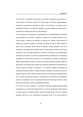 Capítulo 1
18
Por otra parte, comparando los tiempos de operación necesarios para alcanzar un
mismo grado de hidrólisis, usando una misma carga de derivado E-galactosidasa–
Eupergit C entrampado en alginato de calcio y sin entrampar, se observa que el
entrampado introduce una resistencia adicional al proceso difusivo que representa un
incremento de alrededor del 20% en dichos tiempos.
A fin de analizar las condiciones de reutilizabilidad de los biocatalizadores producidos
por entrampado, se procedió a comparar la calidad de la superficie externa de los
mismos antes y después de utilizarlos en ensayos de hidrólisis hasta alcanzar el
máximo de conversión posible con solución de lactosa (50 g/l) en buffer fosfato de
sodio 0,1M y permeado diluido (50 g/l de lactosa), ambos ajustados a pH 6,0 y
sometidos a una temperatura constante de 50ºC. Este análisis se realizó a través de la
observación por microscopía electrónica de barrido de muestras de biocatalizadores
sometidos previamente a un proceso de deshidratación por liofilización. Por tratarse de
hidrogeles con más del 90% de agua en su composición, el proceso de liofilización
afectó sustancialmente la forma y tamaño de las partículas pero posibilitó realizar la
observación microscópica para verificar que el aspecto superficial del biocatalizador no
cambia durante el proceso de operación, ni se verifican depósitos importantes de
sustancias extrañas cuando se emplea solución de lactosa o permeado de suero de
quesería (Figura 3). Esta verificación permite evitar la necesidad de la implementación
de un proceso profundo de limpieza o reactivación de la superficie del biocatalizador
previo a su reutilización, con la consecuente disminución de tiempos muertos y costos
extras que conspirarían contra su aplicabilidad industrial.
En función de estos resultados, se sometió el derivado E-galactosidasa–Eupergit
entrampado en una matriz de alginato al 4% a un ciclo de reutilización hasta alcanzar
el máximo grado de hidrólisis posible, usando permeado diluido (50 g/l de lactosa),
ajustado a pH 6,0 y a una temperatura de operación de 50 ºC. En dicho ensayo se
 