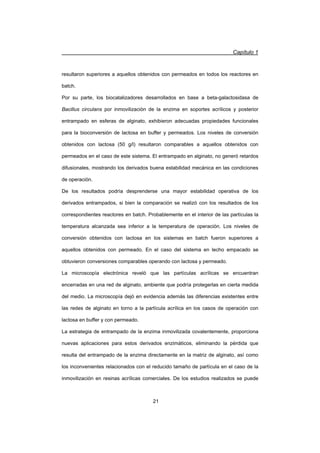 Capítulo 1
21
resultaron superiores a aquellos obtenidos con permeados en todos los reactores en
batch.
Por su parte, los biocatalizadores desarrollados en base a beta-galactosidasa de
Bacillus circulans por inmovilización de la enzima en soportes acrílicos y posterior
entrampado en esferas de alginato, exhibieron adecuadas propiedades funcionales
para la bioconversión de lactosa en buffer y permeados. Los niveles de conversión
obtenidos con lactosa (50 g/l) resultaron comparables a aquellos obtenidos con
permeados en el caso de este sistema. El entrampado en alginato, no generó retardos
difusionales, mostrando los derivados buena estabilidad mecánica en las condiciones
de operación.
De los resultados podría desprenderse una mayor estabilidad operativa de los
derivados entrampados, si bien la comparación se realizó con los resultados de los
correspondientes reactores en batch. Probablemente en el interior de las partículas la
temperatura alcanzada sea inferior a la temperatura de operación. Los niveles de
conversión obtenidos con lactosa en los sistemas en batch fueron superiores a
aquellos obtenidos con permeado. En el caso del sistema en lecho empacado se
obtuvieron conversiones comparables operando con lactosa y permeado.
La microscopía electrónica reveló que las partículas acrílicas se encuentran
encerradas en una red de alginato, ambiente que podría protegerlas en cierta medida
del medio. La microscopía dejó en evidencia además las diferencias existentes entre
las redes de alginato en torno a la partícula acrílica en los casos de operación con
lactosa en buffer y con permeado.
La estrategia de entrampado de la enzima inmovilizada covalentemente, proporciona
nuevas aplicaciones para estos derivados enzimáticos, eliminando la pérdida que
resulta del entrampado de la enzima directamente en la matriz de alginato, así como
los inconvenientes relacionados con el reducido tamaño de partícula en el caso de la
inmovilización en resinas acrílicas comerciales. De los estudios realizados se puede
 
