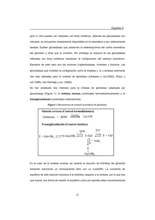 Capítulo 2
27
pero in vitro pueden ser utilizadas con fines sintéticos. Además las glicosidasas son
robustas, se encuentran ampliamente disponibles en la naturaleza y son relativamente
baratas. Existen glicosidasas que preservan la estereoquímica del centro anomérico
del glicósido y otras que lo invierten. Sin embargo la mayoría de las glicosidasas
utilizadas con fines sintéticos mantienen la configuración del carbono anomérico.
Ejemplos de este caso son las enzimas E-galactosidasa, invertasa y lisozima. Las
glicosidasas que invierten la configuración como la trealasa y la D-amilasa raramente
han sido utilizadas para la síntesis de glicósidos (Ichikawa y col.(1992); Palcic y
col.(1999); Van Rantwijk y col. (1999)).
Se han empleado dos métodos para la síntesis de glicósidos catalizada por
glicosidasas (Figura 1): la síntesis reversa (controlada termodinámicamente) y la
transglicosilación (controlada cinéticamente).
Figura 1. Mecanismos de síntesis enzimática de glicósidos.
En el caso de la síntesis reversa, se revierte la reacción de hidrólisis del glicósido
haciendo reaccionar un monosacárido libre con un nucleófilo. La constante de
equilibrio de esta reacción favorece a la hidrólisis respecto a la síntesis, por lo que hay
que buscar una forma de revertir el equilibrio como por ejemplo altas concentraciones
Síntesis reversa (Control termodinámico)
Transglicosilación (Control cinético)
Galactosa + ROH Gal-OR
Enzima
Gal-OR1E + E-Gal-OR1
HOR1
E-Gal E + Gal
H2O
HOR2
E
+
Gal-OR2
Síntesis reversa (Control termodinámico)
Transglicosilación (Control cinético)
Galactosa + ROH Gal-OR
Enzima
Galactosa + ROH Gal-OR
Enzima
Gal-OR1E + E-Gal-OR1
HOR1
E-Gal E + Gal
H2O
HOR2
E
+
Gal-OR2
 