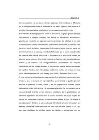 Capítulo 2
28
de monosacáridos y el uso de co-solventes orgánicos. Este método se ve dificultado
por la incompatibilidad entre la necesidad de un medio orgánico para disminuir la
actividad del agua y la baja solubilidad de los monosacáridos en dicho medio.
El mecanismo de transglicosilación utiliza un donador de un grupo glicosilo activado
(oligosacárido o glicósido activado) para formar un intermediario enzima-grupo
glicosilo que reacciona con agua para dar los productos de hidrólisis, o con otro
nucléofilo aceptor (alcohol, monosacárido, oligosacárido, aminoácido, nucleósido) para
formar un nuevo glicósido u oligosacárido. Este nuevo producto obtenido puede ser
también sustrato de la enzima y por lo tanto hidrolizado, por lo cual la reacción debe
ser detenida antes de que esto ocurra. El rendimiento de la reacción de síntesis del
glicósido queda entonces determinado mediante un balance entre las velocidades de
síntesis y de hidrólisis. Las transglicosilaciones generalmente dan mayores
rendimientos que las síntesis reversas, ya que permiten superar las concentraciones
de equilibrio. También son más rápidas, pudiéndose realizar las síntesis en unas
pocas horas en lugar de días (Van Rantwijk y col.(1999); Das-Bradoo y col.(2004))
A pesar de que las glicosidasas son estereoespecíficas e hidrolizan (y sintetizan) sólo
enlaces D o E, no siempre son regioespecíficas y por lo tanto se pueden producir
mezclas de productos. Cuántos, cuáles y en qué proporción se obtienen puede
depender del origen de la enzima y la estructura del aceptor. Se ha reportado que la
regioselectividad obtenida en las reacciones catalizadas por E-galactosidasas es
altamente dependiente del átomo unido al carbono anomérico del azúcar aceptor. En
general las glicosidasas producen preferentemente enlaces de tipo 1-6 durante la
transglicosilación debido a la alta reactividad del hidroxilo primario del aceptor, sin
embargo también se forman productos con otros tipos de unión (por ej.: 1-3 ó 1-4),
pero sus velocidades de hidrólisis pueden ser rápidas en comparación con los
 