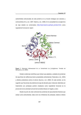 Capítulo 16
357
carbohidratos estructurales de esta proteína en su función biológica son escasos y
controvertidos (Fu y col., 2007; Adams y col., 2008). En la actualidad la E-conglicinina
de soja aislada se comercializa (http://www.fujioil.co.jp/fujioil_e/index.html) como
ingrediente funcional en Japón.
Figura 1. Estructura tridimensional de un homotrímero de E-conglicinina. Tomado de
Maruyama y col. (2004).
Existen evidencias científicas que indican que péptidos y aislados de proteínas
de soja libres de isoflavonas tienen propiedades antioxidantes (Takenaka y col., 2003)
y efectos protectores contra el cáncer (Azuma y col., 2000). En este sentido, se ha
sugerido que fracciones de proteínas de soja de elevado peso molecular obtenidas por
tratamiento con proteasas podrían emplearse como ingrediente funcional en la
prevención de la actividad tumoral de los ácidos biliares en hígado y colon.
Desde el punto de vista nutricional las proteínas de soja presentan factores que
actúan como antinutrientes, tales como los inhibidores de proteasas, debido al efecto
 