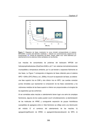 Capítulo 17
388
Las mezclas de concentrados de proteínas del lactosuero WPC80 con
hidroxipropilmetilcelulosa (DowChem.E4M) a pH 7 son sistemas termodinámicamente
incompatibles a temperatura ambiente, por lo cual tienden a separarse fácilmente en
dos fases. La Figura 7 corresponde al diagrama de fases obtenido para el sistema
WPC + E4M a 25ºC (Pérez y col., 2006a). Al ocurrir la separación de fases, se obtiene
una fase superior rica en E4M y otra inferior rica en WPC. Las cuerdas conectan
puntos binodales que representan la composición de las fases coexistentes y los
volúmenes medidos de las fases superior e inferior son proporcionales a la longitud de
los segmentos que las conforman.
Al ser sometidas estas mezclas a calentamiento tienen lugar una serie de complejos
fenómenos, algunos de los cuales pueden ocurrir simultáneamente: a) deshidratación
de las moléculas de HPMC y consiguiente exposición de grupos hidrofóbicos
susceptibles de agregarse entre sí. Este fenómeno se refleja como una disminución
del módulo G´ al comienzo del calentamiento de las mezclas; b)
agregación/gelificación de HPMC; c) agregación/desnaturalización de WPC; d)
0
2
4
6
8
10
12
14
16
18
0 5 10 15 20 25
20/3
12/2
F
15/3
0
2
4
6
8
10
12
14
16
18
0 5 10 15 20 25
20/3
12/2
F
15/3
WPC (%)
E4M(%)
0
2
4
6
8
10
12
14
16
18
0 5 10 15 20 25
20/3
12/2
F
15/3
0
2
4
6
8
10
12
14
16
18
0 5 10 15 20 25
20/3
12/2
F
15/3
WPC (%)
E4M(%)
0
2
4
6
8
10
12
14
16
18
0 5 10 15 20 25
20/3
12/2
F
15/3
0
2
4
6
8
10
12
14
16
18
0 5 10 15 20 25
20/3
12/2
F
15/3
WPC (%)
E4M(%)
Figura 7. Diagrama de fases mostrando la curva binodal correspondiente al sistema
WPC/E4M. Ɣ puntos del diámetro rectilineal; Ɣ relación de concentraciones original de los
componentes; ƔF umbral de separación de fases. Inserto, geles core -shell obtenidos por
calentamiento de los sistemas mixtos señalados con las flechas.
 