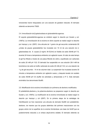 Capítulo 2
34
remanentes fueron bloqueados con una solución de glutation reducido. El derivado
obtenido se denominó TSI20.
2.4. Inmovilización de ȕ-galactosidasa en glutaraldehido-agarosa.
El soporte glutaraldehido-agarosa se sintetizó según lo descrito por Guisán y col.
(1997a). La inmovilización de la enzima en dicho soporte se realizó según lo descrito
por Irazoqui y col. (2007). Una alícuota de 1 gramo de gel escurrido conteniendo 90
Pmoles de grupos glutaraldehido fue incubada con 10 ml de una solución de E-
galactosidasa de A. oryzae (2 mg/ml, 94 EU/ml) en fosfato de sodio 50mM pH 7.0,
durante 24 horas a temperatura ambiente con agitación suave. Al cabo de este tiempo
el gel fue filtrado a través de una placa filtrante de vidrio y equilibrado con carbonato
de sodio 20 mM pH 10.0. El derivado fue suspendido en una solución 26.4 mM de
borohidruro de sodio en buffer carbonato de sodio 20 mM pH 10.0, en una relación de
1 g de gel escurrido : 14 ml de volumen total. La suspensión fue incubada durante 30
minutos a temperatura ambiente con agitación suave, y después lavada con acetato
de sodio 50mM pH 5.5 (buffer de actividad) y almacenada a 4º C. Este derivado
enzimático fue denominado Glut90.
2.5. Modificación de la enzima inmovilizada con polímeros de dextrano modificados.
El polialdehido-dextrano y la poliamina-dextrano se prepararon según lo descrito por
Guisán y col. (1997b). La modificación de la enzima inmovilizada se realizó según lo
descrito por Irazoqui y col (2007). En la primera etapa de la estrategia de
hidrofilización se hizo reaccionar una alícuota de derivado Glut90 con polialdehído-
dextrano, de manera que los grupos aldehídos del polímero reaccionaran con los
grupos amino de la superficie de la enzima formándose una base de Schiff que es
posteriormente reducida a un enlace alquil-amino estable. El derivado obtenido se
 