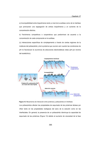 Capítulo 17
395
a) Incompatibilidad entre biopolímeros tanto a nivel de la subfase como de la interfase
que promueven una segregación de ambos biopolímeros y un aumento de la
concentración efectiva.
b) Fenómenos competitivos o cooperativos que predominan de acuerdo a la
concentración de cada componente en la subfase.
(c) interacciones específicas de complejamiento a través de ciertas regiones de la
molécula del polisacárido y de la proteína que ocurren aún cuando las condiciones de
pH no favorezcan la ocurrencia de atracciones electrostáticas netas (pH por encima
del isoeléctrico).
Los polisacáridos afectan las propiedades de espumado de las proteínas lácteas por
influir tanto en las propiedades reológicas del seno de la solución como en las
interfaciales. En general, la presencia de un polisacárido disminuye la capacidad de
espumado de las proteínas (Figura 13) debido al aumento de viscosidad de la fase
Proteína (P) y polisacárido (PS)
en el seno de la fase líquida
Fenómenos
cooperativos
Adsorción
competitiva
S S
S S
S S
S S
S S
S S
S S
S S
S S
S S
S S
S S
Complejamiento interfacial
S SS SS S S SS SS S
solv
solvsolv
Incompatibilidad
S S
S S
S S
S S
S S
S S
S S
S S
S S
S S
S S
S S
Adsorción conjunta
P
PS
P
Proteína (P) y polisacárido (PS)
en el seno de la fase líquida
Proteína (P) y polisacárido (PS)
en el seno de la fase líquida
Fenómenos
cooperativos
Fenómenos
cooperativos
Adsorción
competitiva
Adsorción
competitiva
S S
S S
S S
S S
S S
S S
S S
S S
S S
S S
S S
S S
Complejamiento interfacial
S S
S S
S S
S S
S S
S S
S S
S S
S S
S S
S S
S S
Complejamiento interfacial
S SS SS S S SS SS S
solv
solvsolv
Incompatibilidad
S SS SS S S SS SS S
solv
solvsolv
Incompatibilidad
S S
S S
S S
S S
S S
S S
S S
S S
S S
S S
S S
S S
Adsorción conjunta
S S
S S
S S
S S
S S
S S
S S
S S
S S
S S
S S
S S
Adsorción conjunta
P
PS
P
Figura 12. Mecanismos de interacción entre proteínas y polisacáridos en interfases
 