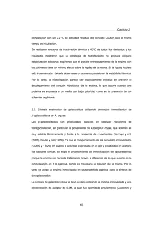 Capítulo 2
40
comparación con un 0.2 % de actividad residual del derivado Glut90 para el mismo
tiempo de incubación.
Se realizaron ensayos de inactivación térmica a 60ºC de todos los derivados y los
resultados mostraron que la estrategia de hidrofilización no produce ninguna
estabilización adicional; sugiriendo que el posible entrecruzamiento de la enzima con
los polímeros tiene un mínimo efecto sobre la rigidez de la misma. Si la rigidez hubiera
sido incrementada debería observarse un aumento paralelo en la estabilidad térmica.
Por lo tanto, la hidrofilización parece ser especialmente efectiva en prevenir el
desplegamiento del corazón hidrofóbico de la enzima, lo que ocurre cuando una
proteína es expuesta a un medio con baja polaridad como es la presencia de co-
solventes orgánicos.
3.3. Síntesis enzimática de galactósidos utilizando derivados inmovilizados de
Egalactosidasa de A. oryzae.
Las E-galactosidasas son glicosidasas capaces de catalizar reacciones de
transglicosilación, en particular la proveniente de Aspergillus oryae, que además es
muy estable térmicamente y frente a la presencia de co-solventes (Irazoqui y col.
(2007), Reuter y col (1999)). Ya que el comportamiento de los derivados inmovilizados
(Glut90 y TSI20) en cuanto a actividad expresada en el gel y estabilidad en acetona
fue bastante similar, se eligió el procedimiento de inmovilización del glutaraldehído
porque la enzima no necesita tratamiento previo, a diferencia de lo que sucede en la
inmovilización en TSI-agarosa, donde es necesaria la tiolación de la misma. Por lo
tanto se utilizó la enzima inmovilizada en glutaraldehido-agarosa para la síntesis de
dos galactósidos
La síntesis de galactosil xilosa se llevó a cabo utilizando la enzima inmovilizada y una
concentración de aceptor de 0.5M, la cual fue optimizada previamente (Giacomini y
 