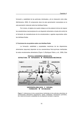 Capítulo 4
74
formación y estabilidad de las partículas individuales y de la interacción entre ellas
(McClements, 2005). El componente clave de esta aproximación nanoscópica es la
auto-asociación molecular sobre las interfases fluidas.
Por lo tanto, el objetivo de nuestro trabajo es el de analizar la forma de mejorar
las características macroscópicas de una dispersión alimentaria a través del control de
la formación de nanoestructuras de los emulsionantes o agentes espumantes sobre
las interfases fluidas.
2. Funciones de una proteína sobre una interfase fluida
La formación, estabilidad y propiedades mecánicas de las dispersiones
alimentarias (espumas) dependen de las características físico-químicas interfaciales
de estos emulsionantes alimentarios (Figura 1) (Rodríguez Patino y col., 2008). Esta
FASE 2
FASE 1 ADSORCIÓN
ADSORCIÓN
INTERACCIONES
PELÍCULA ADSORBIDA (MONOCAPA)
ESTRUCTURA ‹ TOPOGRAFÍA ‹ PROPIEDADES MECÁNICAS
DISPERSIÓN (EMULSION ™ ESPUMA)
FORMACIÓN ‹ ESTABILIDAD
Figura 1. Implicaciones de las características interfaciales de las películas adsorbidas de
emulsionantes alimentarios (biopolímeros, lípidos, fosfolípidos, tensioactivos permitidos,
etc.) sobre la formación y estabilidad de una dispersión (emulsión o espuma).
Biopolímero
Tensioactivo
Lípido
Fosfolípido
 
