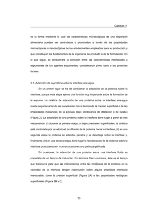 Capítulo 4
75
es la forma mediante la cual las características microscópicas de una dispersión
alimentaria pueden ser controladas o promovidas a través de las propiedades
microscópicas o nanoscópicas de los emulsionantes empleados para su producción y
que constituyen los fundamentos de la ingeniería de producto o de la formulación. En
lo que sigue, se considerará la conexión entre las características interfaciales y
espumantes de los agentes espumantes, considerando como tales a las proteínas
lácteas.
2.1. Adsorción de la proteína sobre la interfase aire-agua.
En un primer lugar se ha de considerar la adsorción de la proteína sobre la
interfase, porque esta etapa ejerce una función muy importante sobre la formación de
la espuma. La cinética de adsorción de una proteína sobre la interfase aire-agua
puede seguirse a través de la evolución con el tiempo de la presión superficial o de las
propiedades mecánicas de la película (bajo condiciones de dilatación o de cizalla)
(Figura 2). La adsorción de una proteína sobre la interfase tiene lugar a partir de tres
mecanismos: (i) durante la primera etapa, a bajas presiones superficiales, la cinética
está controlada por la velocidad de difusión de la proteína hacia la interfase, (ii) en una
segunda etapa la proteína se adsorbe, penetra y se despliega sobre la interfase y,
finalmente, (iii) en una tercera etapa, tiene lugar la reordenación de la proteína sobre la
interfase produciendo en muchas ocasiones una película gelificada.
En ocasiones, la adsorción de una proteína sobre una interfase fluida va
precedida de un tiempo de inducción. En términos físico-químicos, éste es el tiempo
que transcurre para que las interacciones entre las moléculas de la proteína en la
vecindad de la interfase tengan repercusión sobre alguna propiedad interfacial
mensurable, como la presión superficial (Figura 2A) o las propiedades reológicas
superficiales (Figura 2B y C).
 