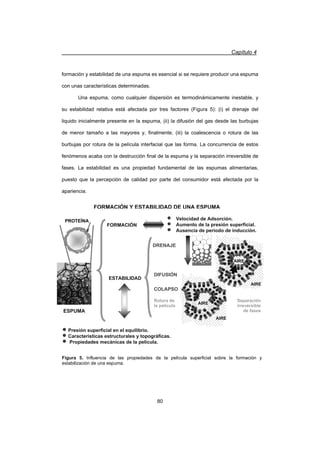 Capítulo 4
80
formación y estabilidad de una espuma es esencial si se requiere producir una espuma
con unas características determinadas.
Una espuma, como cualquier dispersión es termodinámicamente inestable, y
su estabilidad relativa está afectada por tres factores (Figura 5): (i) el drenaje del
liquido inicialmente presente en la espuma, (ii) la difusión del gas desde las burbujas
de menor tamaño a las mayores y, finalmente, (iii) la coalescencia o rotura de las
burbujas por rotura de la película interfacial que las forma. La concurrencia de estos
fenómenos acaba con la destrucción final de la espuma y la separación irreversible de
fases. La estabilidad es una propiedad fundamental de las espumas alimentarias,
puesto que la percepción de calidad por parte del consumidor está afectada por la
apariencia.
 Velocidad de Adsorción.
 Aumento de la presión superficial.
 Ausencia de periodo de inducción.
FORMACIÓN Y ESTABILIDAD DE UNA ESPUMA
FORMACIÓN
ESPUMA
AIRE
AIRE
COLAPSO
Rotura de
la película
ESTABILIDAD
DRENAJE
AIRE
AIRE
DIFUSIÓN
Separación
irreversible
de fases
 Presión superficial en el equilibrio.
 Características estructurales y topográficas.
 Propiedades mecánicas de la película.
Figura 5. Influencia de las propiedades de la película superficial sobre la formación y
estabilización de una espuma.
PROTEÍNA
 
