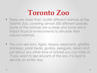 Fun things to do in toronto | PPT