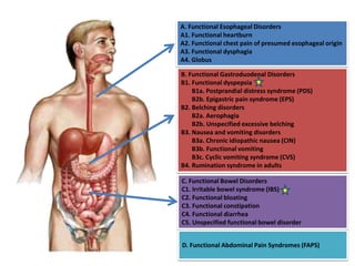 B. Functional Gastroduodenal Disorders
B1. Functional dyspepsia
B1a. Postprandial distress syndrome (PDS)
B2b. Epigastric pain syndrome (EPS)
B2. Belching disorders
B2a. Aerophagia
B2b. Unspecified excessive belching
B3. Nausea and vomiting disorders
B3a. Chronic idiopathic nausea (CIN)
B3b. Functional vomiting
B3c. Cyclic vomiting syndrome (CVS)
B4. Rumination syndrome in adults
A. Functional Esophageal Disorders
A1. Functional heartburn
A2. Functional chest pain of presumed esophageal origin
A3. Functional dysphagia
A4. Globus
C. Functional Bowel Disorders
C1. Irritable bowel syndrome (IBS)
C2. Functional bloating
C3. Functional constipation
C4. Functional diarrhea
C5. Unspecified functional bowel disorder
D. Functional Abdominal Pain Syndromes (FAPS)
 