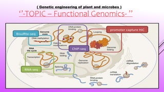 ( Genetic engineering of plant and microbes )
‘’-TOPIC – Functional Genomics- ’’
 