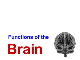 Brain Functions of the 