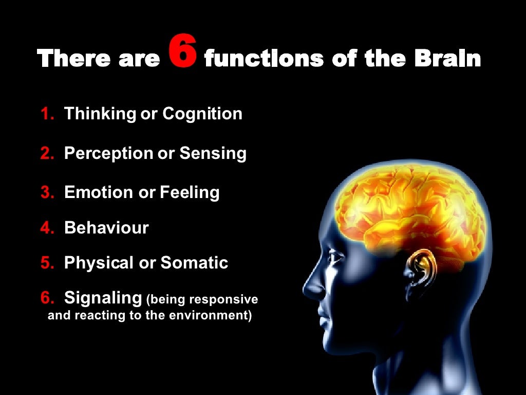 what is presentation brain