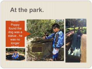 At the park.
When
Poppy
found the
dog was a
statue , he
was no
longer
afraid.
 