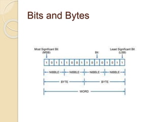 Bits and Bytes
 