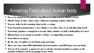 Amazing Factsabout human body
 Forevery pound of fat gained, you add seven miles of new blood vessels.
 Muscle tissue is three times more efficient at burning calories than fat.
 You are tallerin the morning than in the evening.
 Yourstomach manufactures a new lining every three days to avoid digesting itself.
 Yourbody produces enough heat in only thirty minutes to boil a half-gallon of water.
 Human bone is as strong as granite, relative to supporting resistance.
 Yourskin is an organ.
 By the age of eighteen yourbrain stops growing.
 There are more than 600 individual skeletal muscles and 206 bones in yourbody.
 You need to consume a quart of watereach day forfourmonths to equate to the
amount of blood yourheart pumps in one hour.
 
