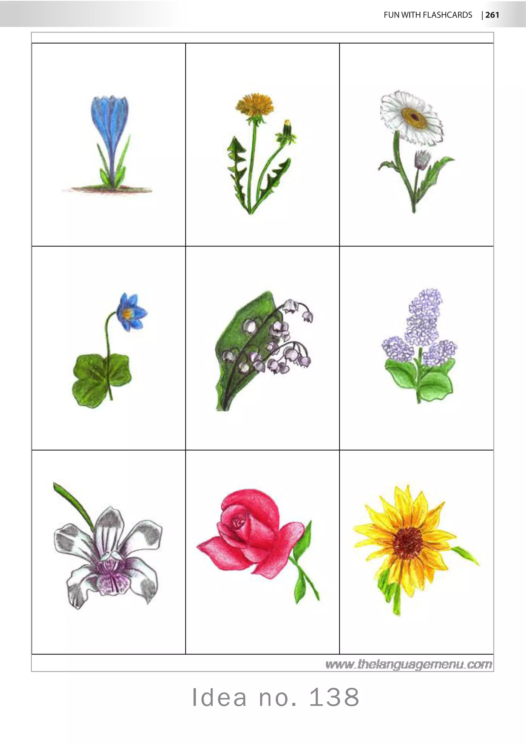 FUN WITH FLASHCARDS | 261
Idea no. 138
 