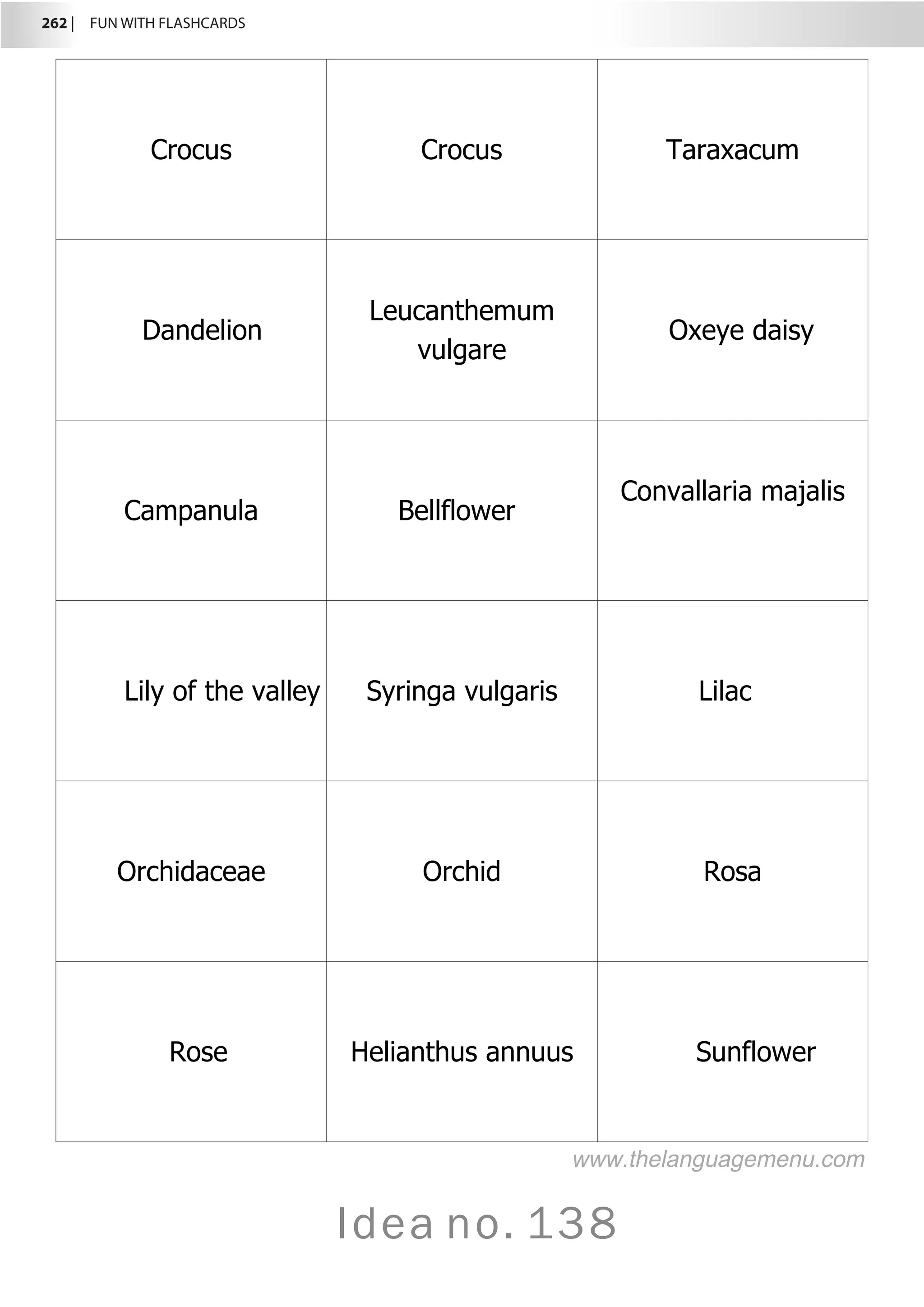 262 |  FUN WITH FLASHCARDS
Idea no. 138
Crocus Crocus Taraxacum
Dandelion
Leucanthemum
vulgare
Oxeye daisy
Campanula Bellflower
Convallaria majalis
Lily of the valley Syringa vulgaris Lilac
Orchidaceae Orchid Rosa
Rose Helianthus annuus Sunflower
www.thelanguagemenu.com
 