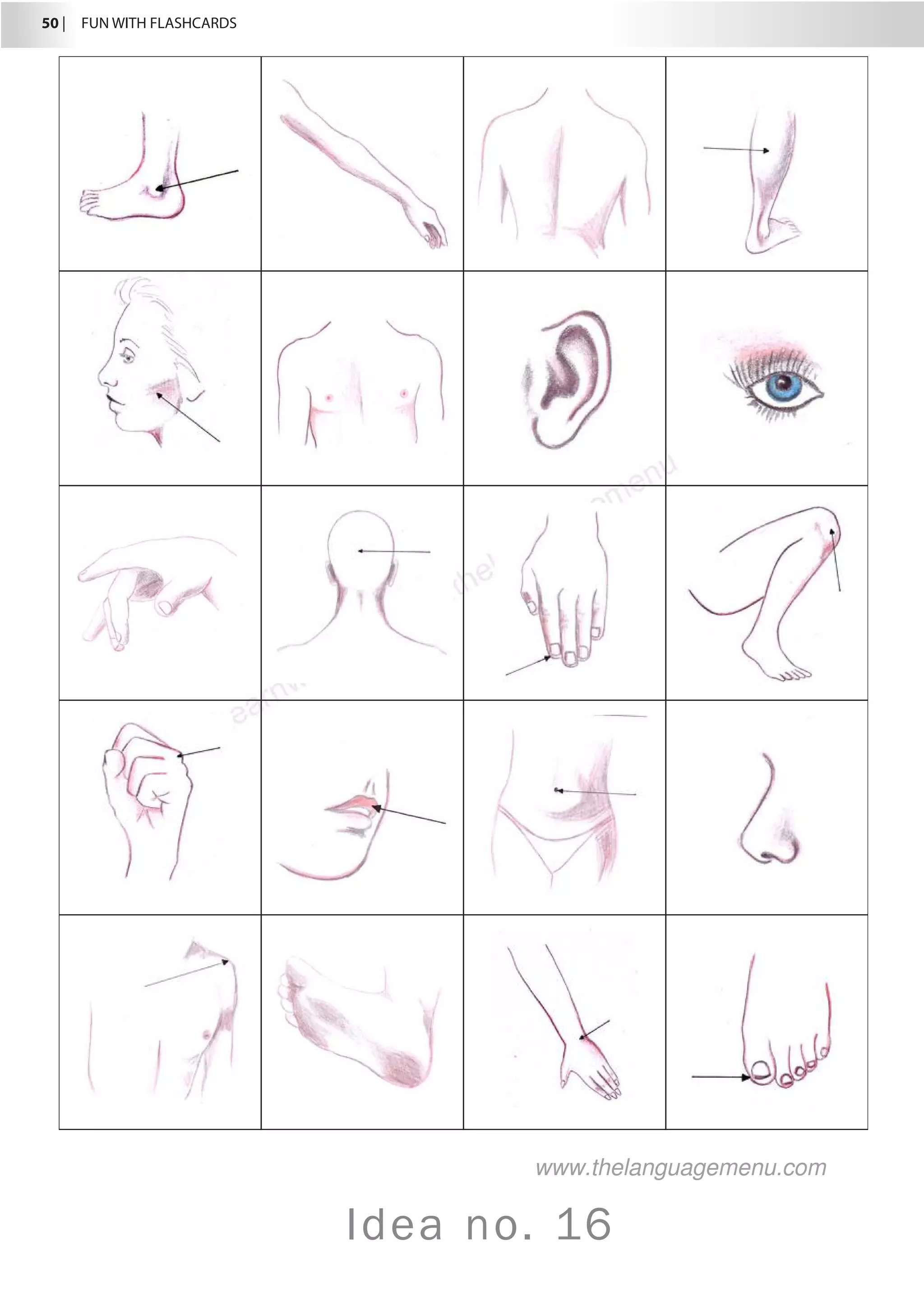 50 |  FUN WITH FLASHCARDS
Idea no. 16
www.thelanguagemenu.com
 