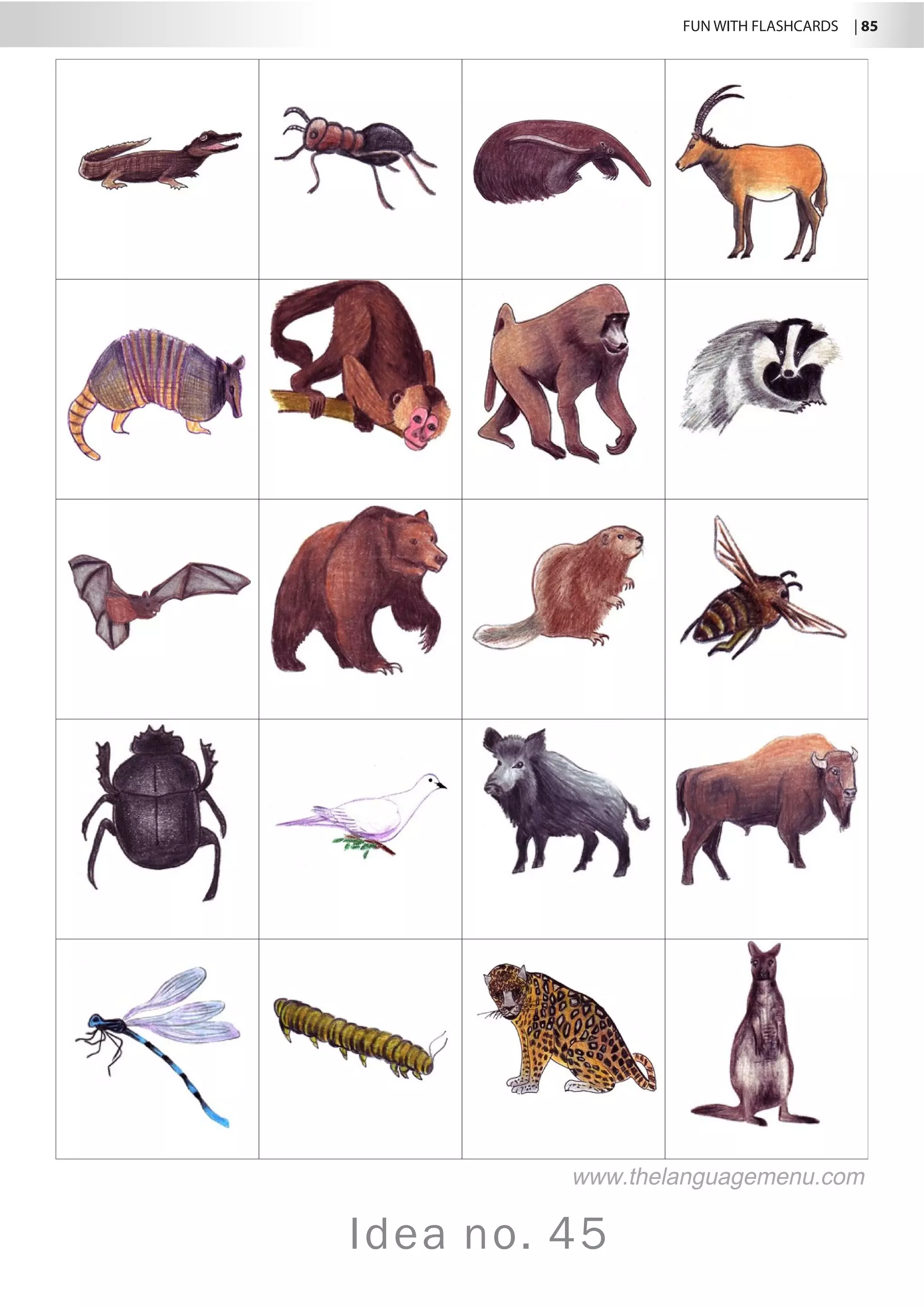 FUN WITH FLASHCARDS | 85
Idea no. 45
www.thelanguagemenu.com
 