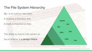 The File System Hierarchy
My / is an ext4 on /dev/sda1.
It contains a directory, tmp.
A tmpfs is mounted at /tmp.
The ability to mount a file system on
top of another is a design choice.
Photo from Wikipedia (Waffle, Pilettes, CC BY-SA 3.0)
/home
/tmp
/etc
/root
/usr
/bin
/sbin
/var
 