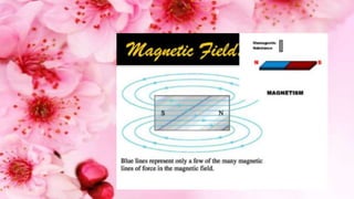 Fun with magnets class 6 ppt