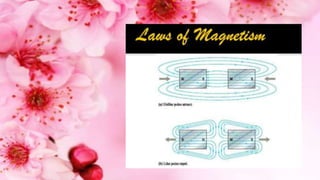 Fun with magnets class 6 ppt