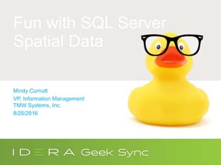 Fun with SQL Server
Spatial Data
Mindy Curnutt
VP, Information Management
TMW Systems, Inc.
8/25/2016
 