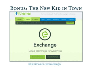 Bonus: The New Kid in Town
http://ithemes.com/exchange/
 