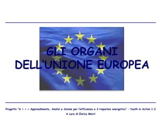 GLI ORGANI
DELL’UNIONE EUROPEA
Progetto “A + + + Apprendimento, Analisi e Azione per l’efficienza e il risparmio energetico” – Youth in Action 1.2
A cura di Enrico Morri
 