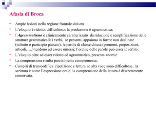 Afasia di Broca
 Ampie lesioni nella regione frontale sinistra
 L’eloquio è ridotto, difficoltoso; la produzione è agrammatica;
 l’Agrammatismo è clinicamente caratterizzato da riduzione e semplificazione delle
strutture grammaticali: i verbi, se presenti, appaiono in forme non declinate
(infinito o participio passato), le parole di classe chiusa (pronomi, preposizioni,
articoli,….) tendono ad essere omessi; l’ordine delle parole può esser invertito;
 L’eloquio oltre ad esser ridotto ed agrammatico, presenta anomie
 La comprensione risulta parzialmente compromessa;
 Compiti di transcodifica: ripetizione e lettura ad alta voce sono difficoltose, la
scrittura è come l’espressione orale; la comprensione della lettura è discretamente
conservata.
 