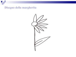 Disegno della margherita
 