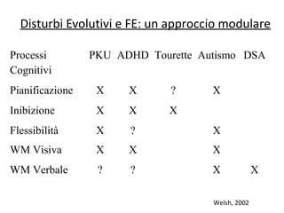 Disturbi Evolutivi e FE: un approccio modulare
Processi
Cognitivi
PKU ADHD Tourette Autismo DSA
Pianificazione X X ? X
Inibizione X X X
Flessibilità X ? X
WM Visiva X X X
WM Verbale ? ? X X
Welsh, 2002
 