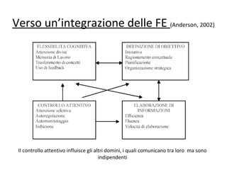 Verso un’integrazione delle FE (Anderson, 2002)
Il controllo attentivo influisce gli altri domini, i quali comunicano tra loro ma sono
indipendenti
 