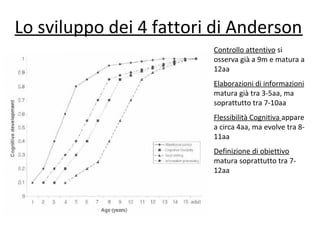 Lo sviluppo dei 4 fattori di Anderson
Controllo attentivo si
osserva già a 9m e matura a
12aa
Elaborazioni di informazioni
matura già tra 3-5aa, ma
soprattutto tra 7-10aa
Flessibilità Cognitiva appare
a circa 4aa, ma evolve tra 8-
11aa
Definizione di obiettivo
matura soprattutto tra 7-
12aa
 