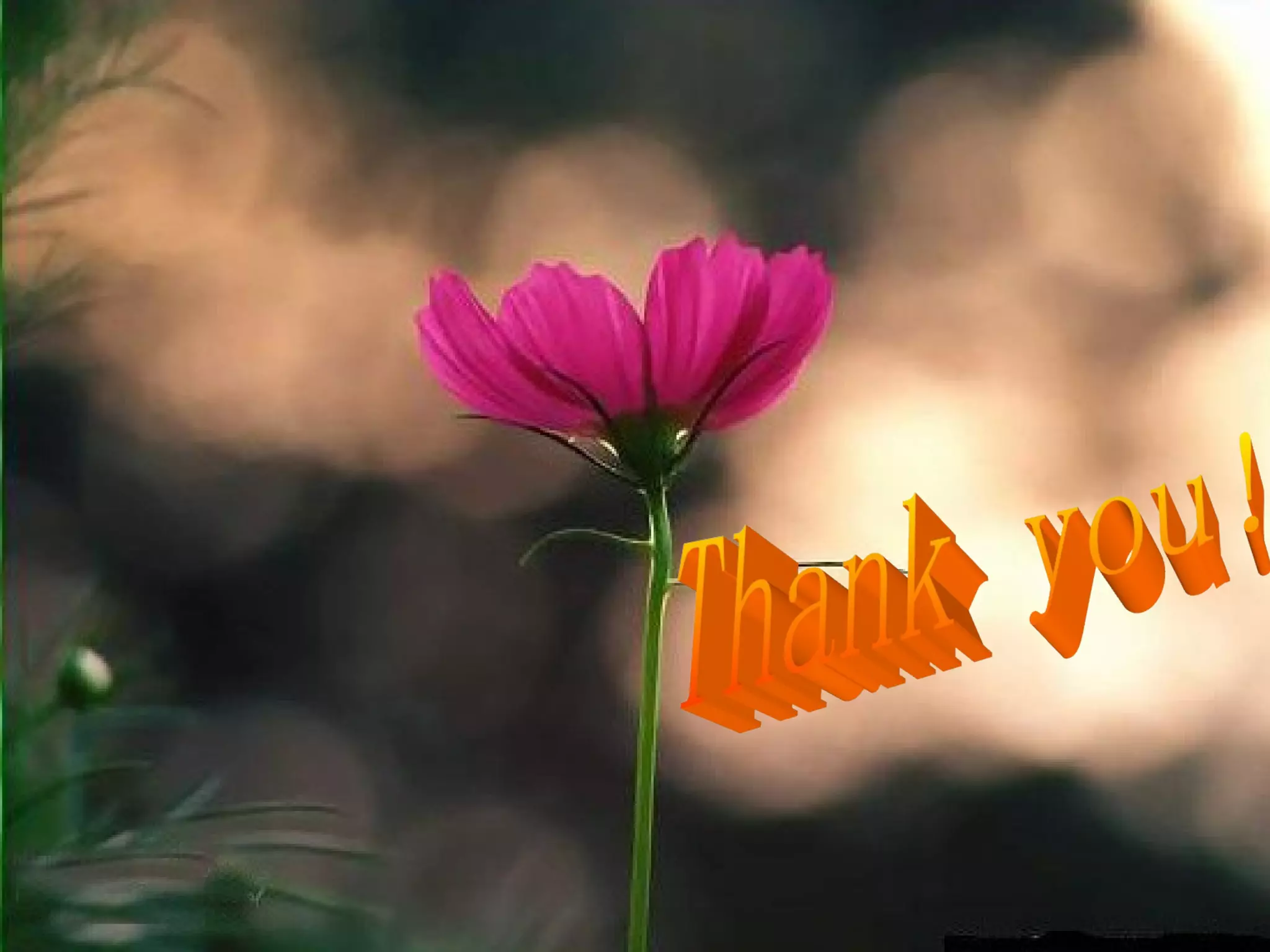 Fu Q - AIMRADIAL 2014 - Left vs right radial approach