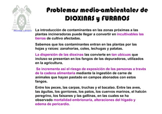 Problemas medioProblemas medioProblemas medioProblemas medio----ambientales deambientales deambientales deambientales de
DIOXINAS y FURANOSDIOXINAS y FURANOSDIOXINAS y FURANOSDIOXINAS y FURANOS
La introducción de contaminantes en las zonas próximas a las
plantas incineradoras puede llegar a convertir en incultivables las
tierras de cultivo afectadas.
Sabemos que los contaminantes entran en las plantas por las
hojas y raíces: zanahorias, coles, lechugas y patatas.
La dispersión de las dioxinas las convierte en tan ubicuas que
incluso se presentan en los fangos de las depuradoras, utilizados
en la agricultura.
Se incrementa así el riesgo de exposición de las personas a través
de la cadena alimentaria mediante la ingestión de carne de
animales que hayan pastado en campos abonados con estos
fangos.
Entre los peces, las carpas, truchas y el bacalao. Entre las aves,
las águilas, los gorriones, los patos, los cuervos marinos, el halcón
peregrino, los faisanes y las gallinas, en las cuales se ha
observado mortalidad embrionaria, alteraciones del hígado y
edema de pericardio.
Dioxinas y furanos
 