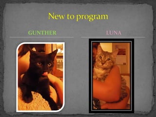GUNTHER   LUNA
 